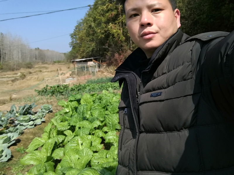 倔强的驴的第一张照片--昆山上门女婿服务网